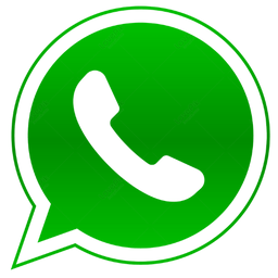 DELSER Customer Service Assistant