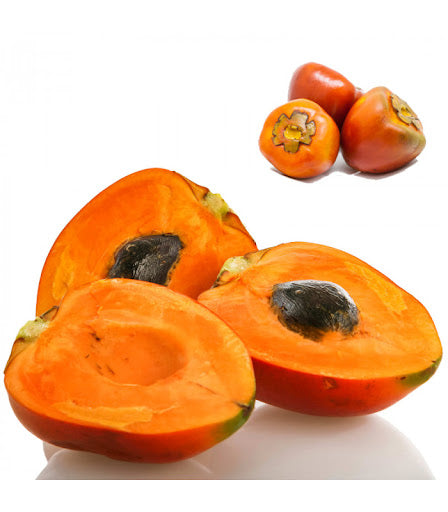 Natural ingredient for nourishment and shine